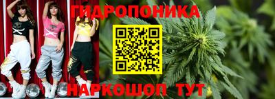 шишки Мариинск